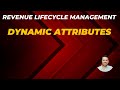 Dynamic Attributes in Salesforce Revenue Lifecycle Management (RLM)