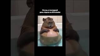 🌴 Дорогие наши путешественники, впереди выходные, заряжайтесь позитивом!