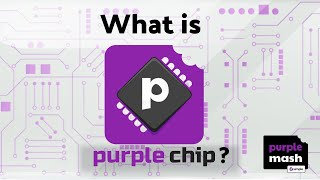 What does our Purple Chip App do? screenshot 3