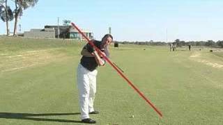 Celebrity The One Plane Golf Swing. Presented by GolfZone. Wealth