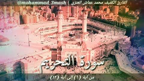 محمد عماش العنزي سورة التحريم (٦_١٢)