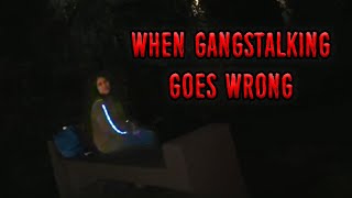 When Gangstalking Goes Wrong