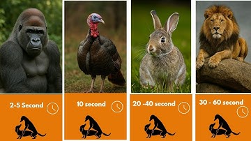 Unbelievable Animals Mating Time From Second To Hours 