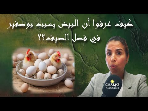 هل تناول البيض يوميا ممكن ان يؤذي كبدي ح 156 شمس الاندلس 