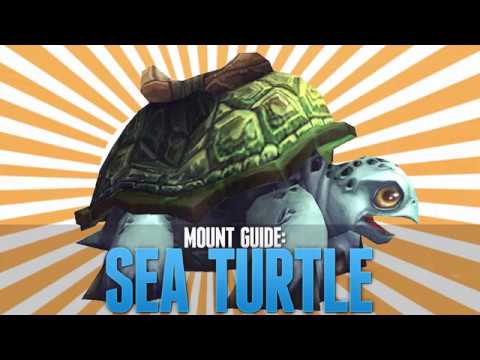 Sea Turtle and Riding Turtle Rare Mount Drop! (Unusual Compass) 8.0.1 ...