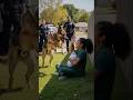 "Cops Unleash K9s on Black Mom & Baby — Her Secret Stuns Everyone! 🐕👶 #Shorts"