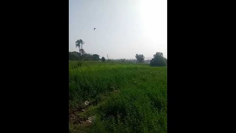 #قراءة هادئة سورة الطارق