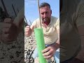 Feliz día de Andalucía