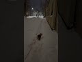 27.02.26 ОПЯТЬ НАМЕЛО С ЖОРИКОМ ВАРТАНОВЫМ #shopping #vlog #shoppingvlog #vloglife