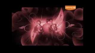 Joyoung company introduction~1.flv Joyoung company introduction~1.flv