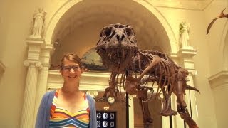 Welcome to The Field Museum