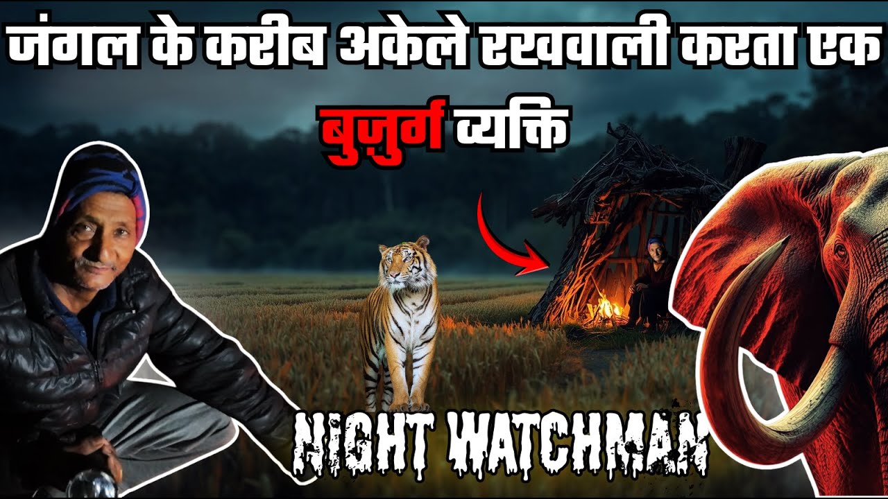 यहाँ चौकीदारी के लिए शेर वाला दिल चाहिए | NIGHT WATCHMAN | CORBETT TALES #jimcorbett 