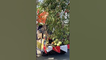 Sound system 2 sub tertutup tanaman karnaval kampak