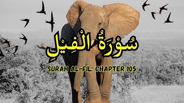 Surah Al-Fil | سورة الفيل | Destruction of Abrahah