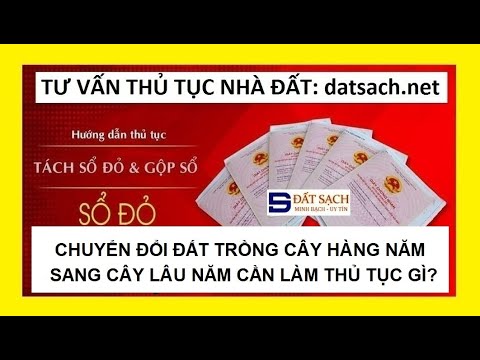 Video: Smite có làm được không?