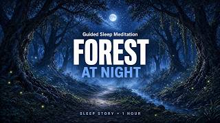 Guided Sleep Meditation ★ Forest Path at Night ★ Sleep Story for Deep Rest (1 Hour)