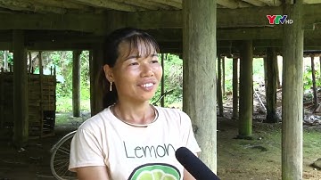 Tuổi trẻ Công ty Điện lực Yên Bái tình nguyện góp sức vì an sinh xã hội