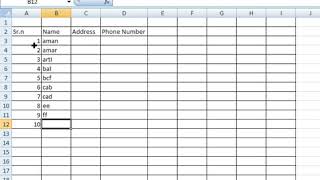 How to Create Telephone Directory in MS Excel2007 screenshot 2