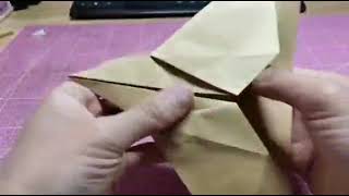 Paper Airplane
