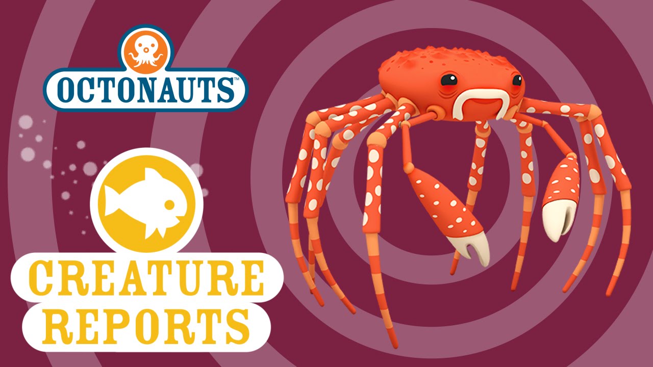 Octonauts Creature Report Spider Crabs Youtube