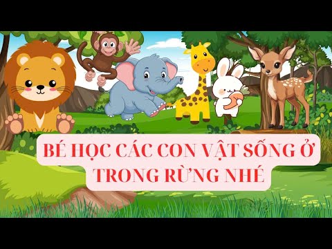Bé Học Các Con Vật Sống Trong Rừng Siêu Dễ Nhớ - YouTube