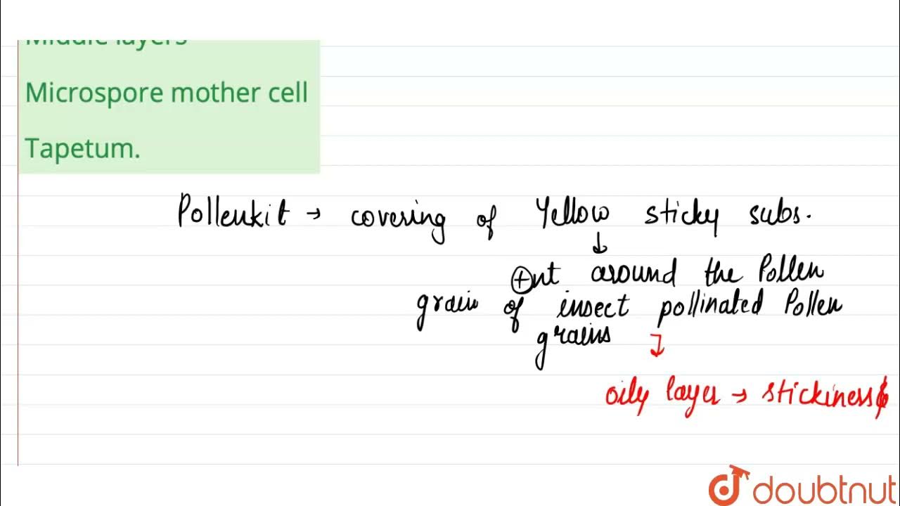 Pollenkitt is formed from 12 NO IDEA BIOLOGY DINESH PUBLICATION