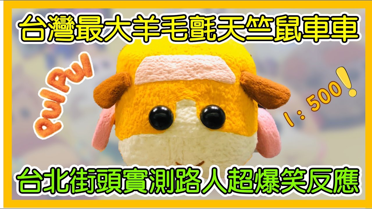 天竺鼠車車 真人版超大型天竺鼠車車大崩壞 上台北街道逛街 收集路人超爆笑反應 Live Action Feature Pui Pui Molcar 実写版モルカー Guinea Pig 명사
