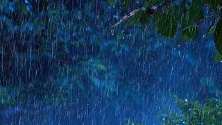 El sonido de la lluvia, que induce al sueño, se crea con fuertes lluvias. Ayuda a relajarse