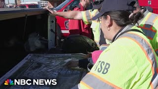 Black Boxes From Ups Cargo Plane Reveal Alarm Bell Went Off In Pit Before Crash