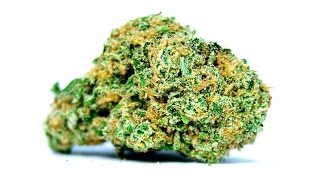 5 Facts About Cannabis