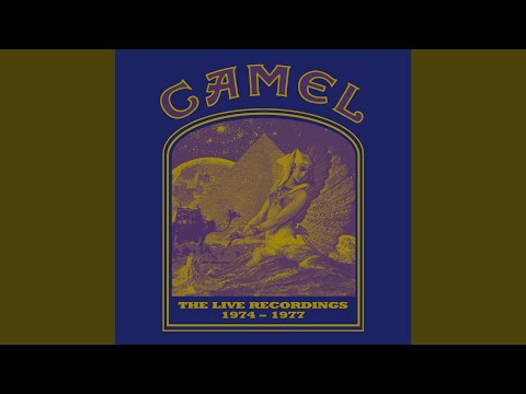 Long Goodbyes (“Pressure Points” Live At Hammersmith Odeon, London, UK / 1984)