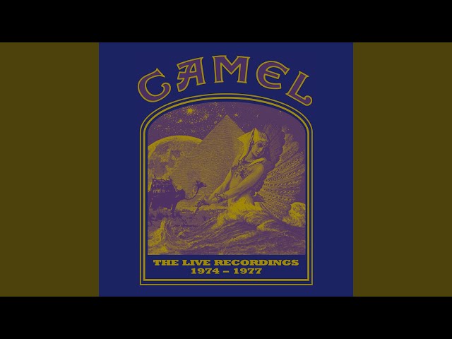 Long Goodbyes (“Pressure Points” Live At Hammersmith Odeon, London