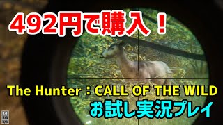 【The Hunter】セール中492円のゲームをお試しプレイ【初見プレイ】