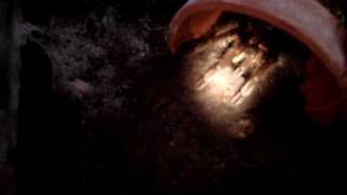 Teraphosa Apophysis 2