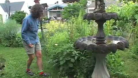 Tabor Tilth: Permaculture in the City