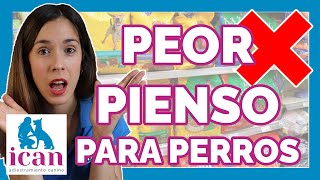 Las PEORES marcas de PIENSO (CROQUETAS) para PERROS by ican adiestramiento canino 2,786 views 2 months ago 5 minutes, 49 seconds