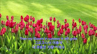 Evergreen - Susan Jacks  || with lyrics (영어가사/한글번역)