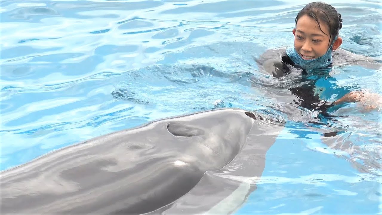 Killer Whales (Orca) Show The last act was fantastic. Playing with