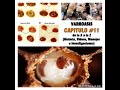 VARROASIS  de la A a la Z : CAPITULO 11 : (Biologia - Manejo - Investigaciones -Tratamientos)