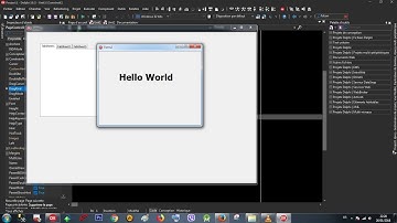 Rad Studio Delphi 016 PageControl - 005 DockSite with form