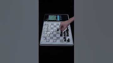 Chessnut Evo: Lights, Moves, Action!#chess #chessnut #chessnutevo #chessgame #LEDChess #AIChess