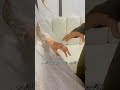تم النصيب وانكتب زينب يزهاها الذهب حسين الجسمي زفات 2025
