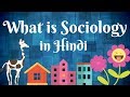 What is Sociology in Hindi | Sociology in hindi