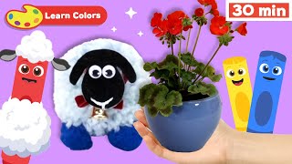 New Show! Color Crew Magic | Educational Video | Flower Plant | Wool Sheep & More | Learn Colors