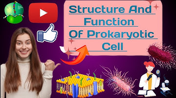 Structure And Function Of Prokaryotic Cell || Bacterial Cell Structure 2023