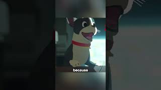 This Dog Does Not Like All Vegetables anime shorts viral