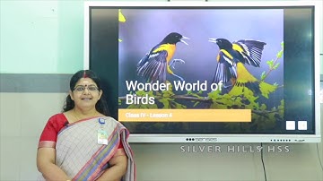 SILVER HILLS HSS | Std IV | EVS | WONDER WORLD OF BIRDS | Ms Beena S R