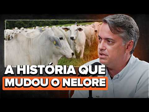 HOW A TRIP TO INDIA HELPED TRANSFORM BRAZILIAN CATTLE FARMING - MF CAST #124