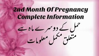 2nd Month Of Pregnancy Complete Information ||All About Second Month Of Pregnancy || Pregnancy screenshot 1