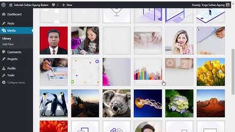 Cara Posting Berita ke Website melalui Admin User